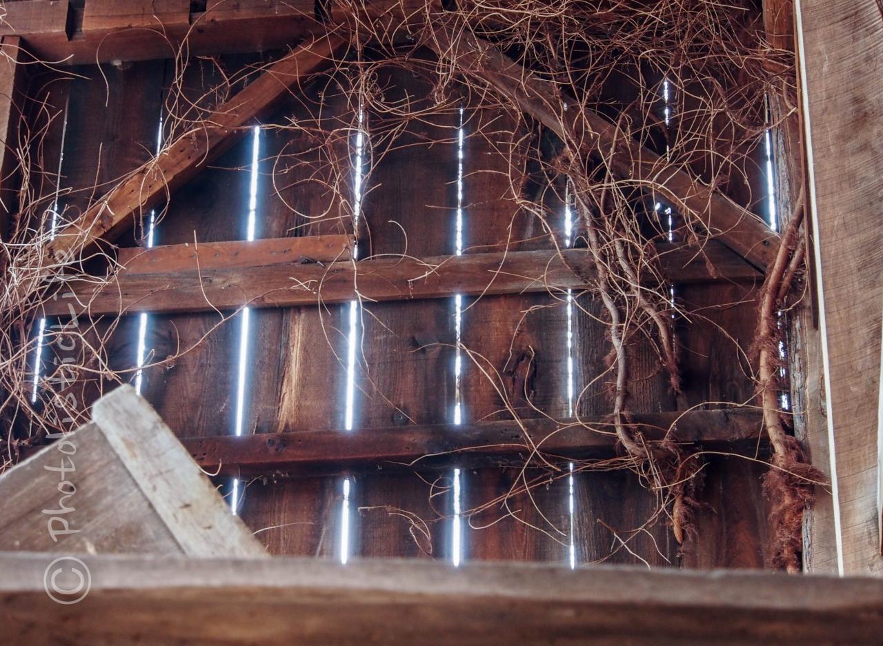 Finding Good Photographs on an Overcast Day – PhotolisticLife