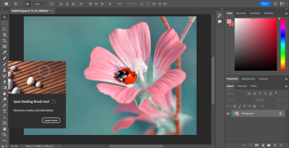 Solved: How to 'Stop' Action to use Healing Brush in Image... - Adobe ...