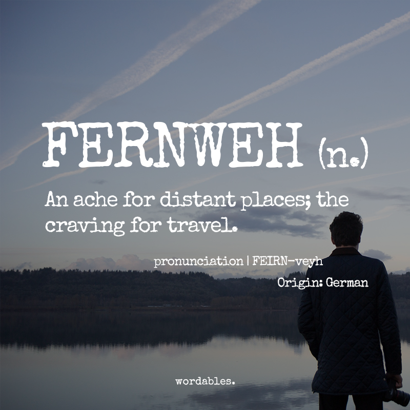 How to Understand Different Camera Lenses