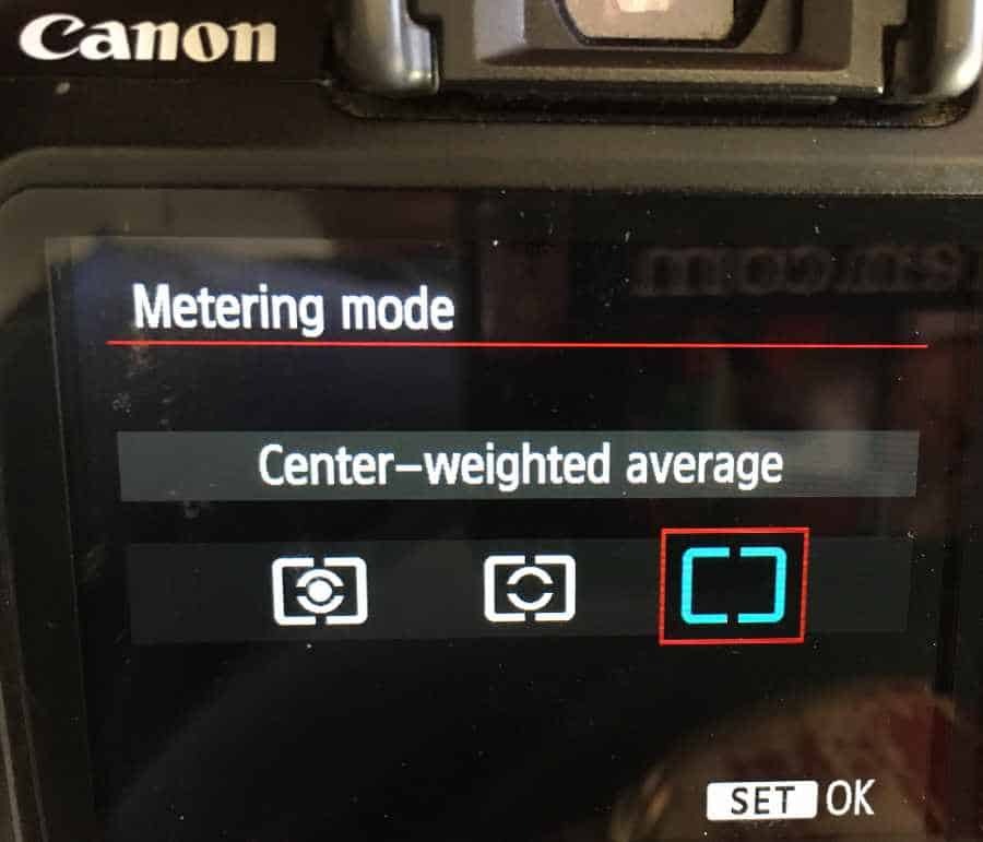 How to Use Your Camera's Metering Modes