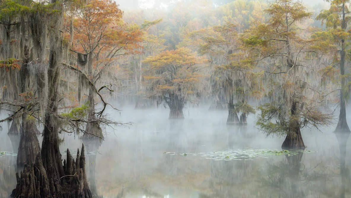 Beginner's Guide to Mastering Landscape Photography