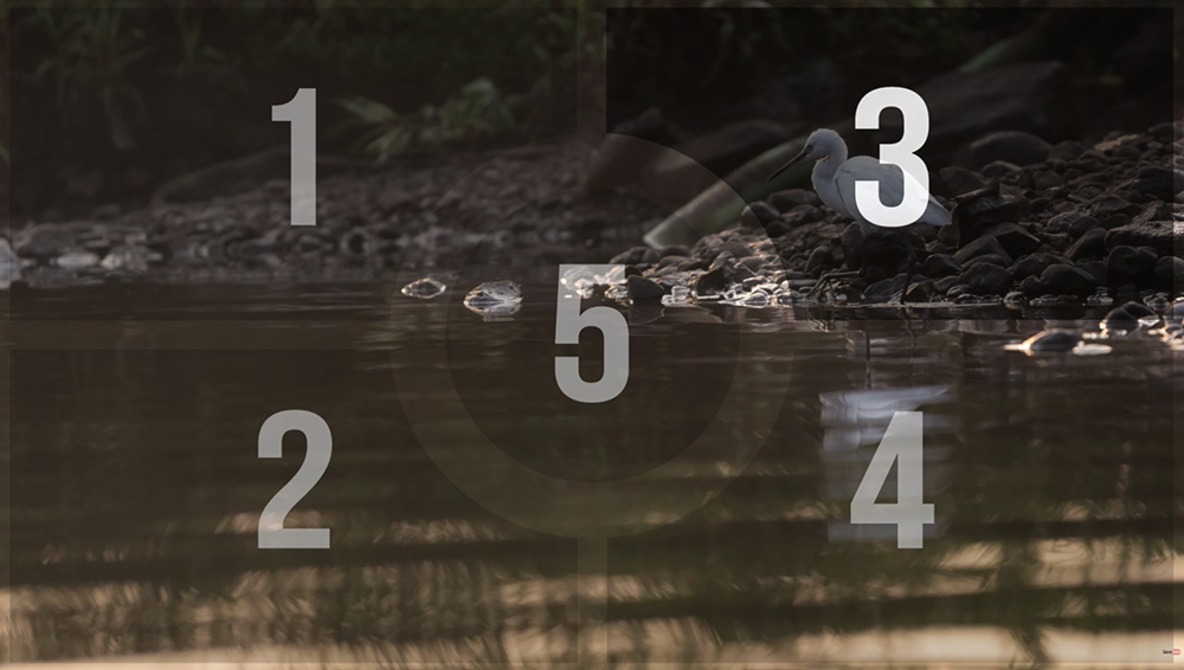 What Is Metering On A Camera Metering Modes Explained - vrogue.co What Is Metering On A Camera Metering Modes Explained - vrogue.co