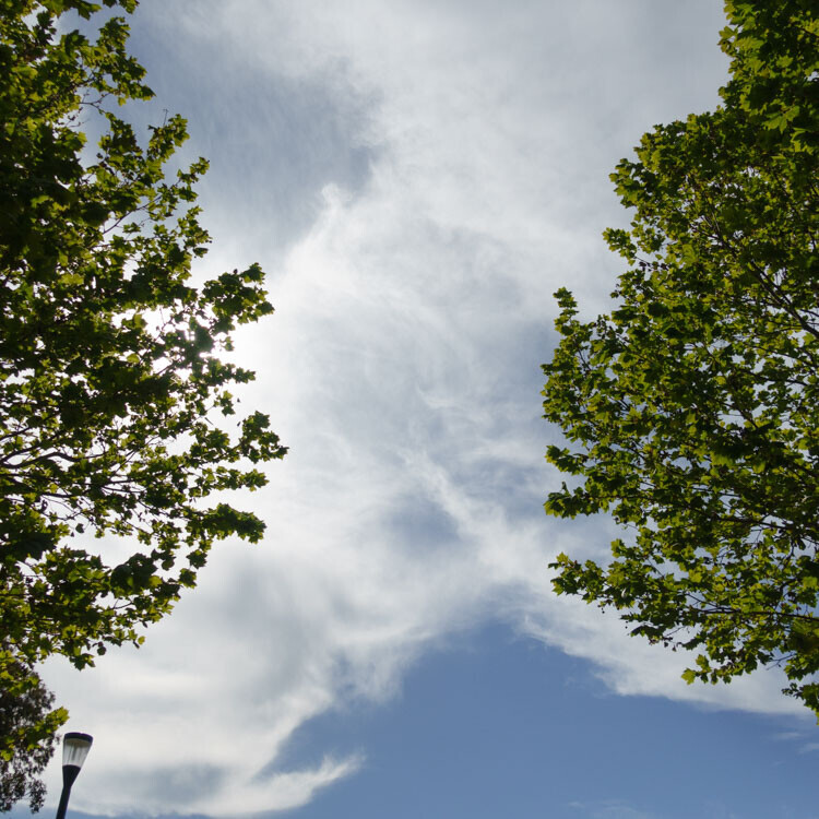 Bracketing in Photography: What, Why and How