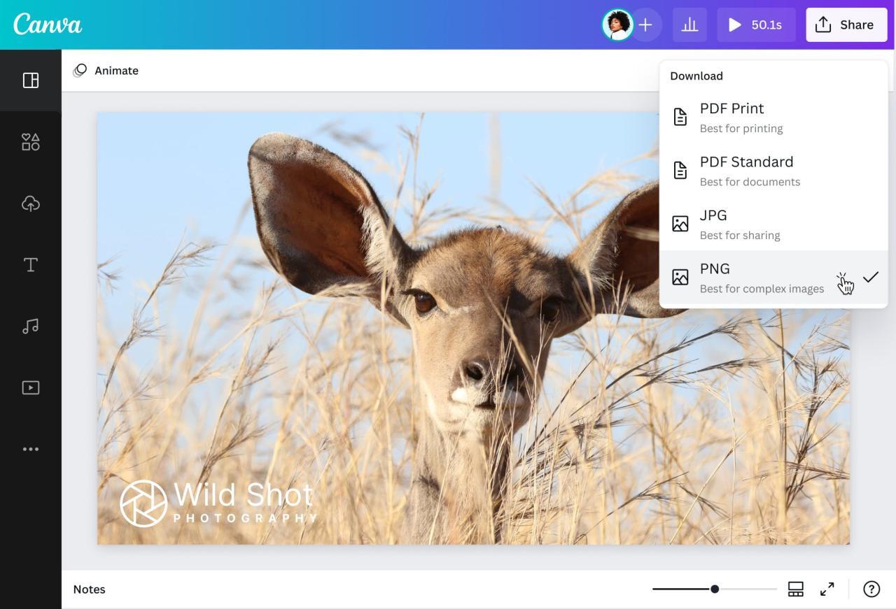 Watermark Photos - Add Watermark to Photos for Free | Canva