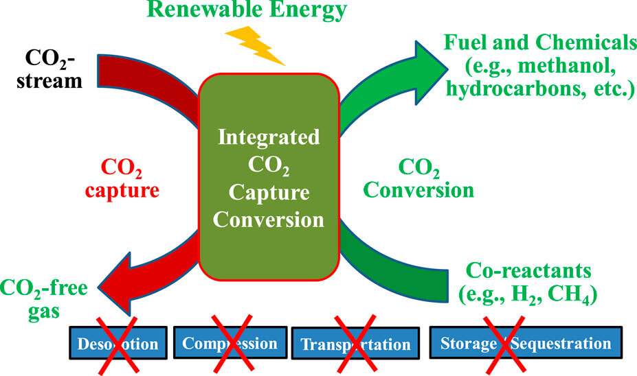 Photographer Free Stock Photo - Public Domain Pictures Photographer Free Stock Photo - Public Domain Pictures